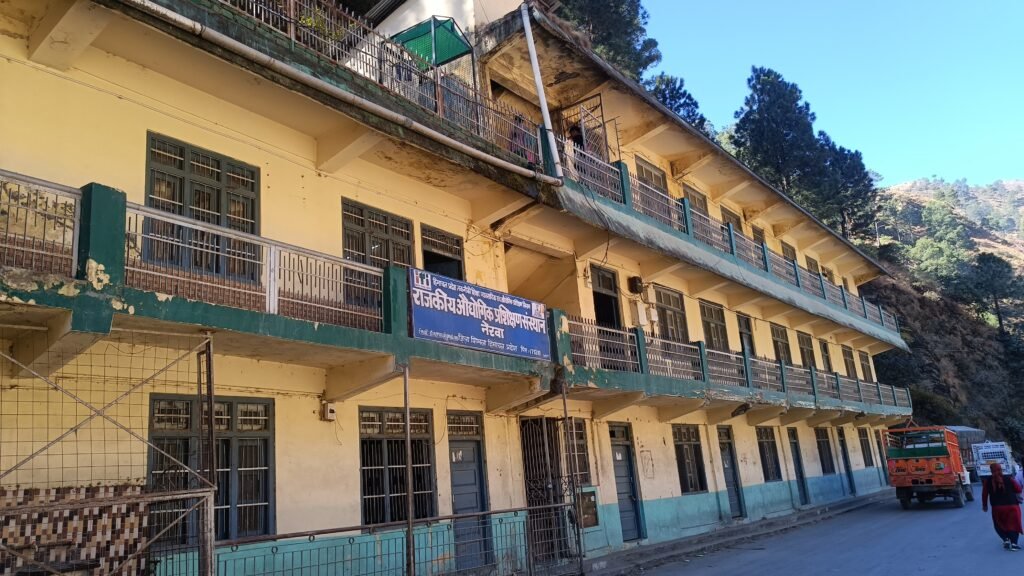 WhatsApp Image 2024-12-06 at 12.04.08 PM